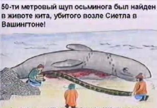 50 метров шуп