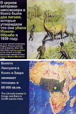 мбеле